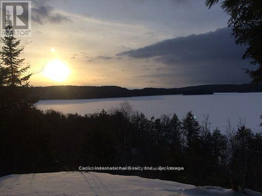 0 Highway 35 Highway, Lake Of Bays, Ontario  P0A 1E0 - Photo 49 - X11957642