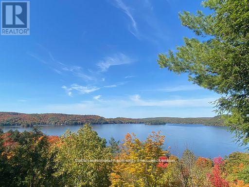 0 Highway 35 Highway, Lake Of Bays, Ontario  P0A 1E0 - Photo 5 - X11957642