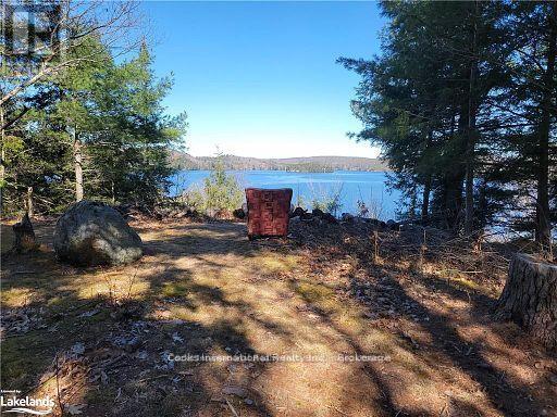 0 Highway 35 Highway, Lake Of Bays, Ontario  P0A 1E0 - Photo 7 - X11957642