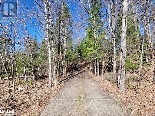 0 Highway 35 Highway, Lake Of Bays, Ontario  P0A 1E0 - Photo 9 - X11957642
