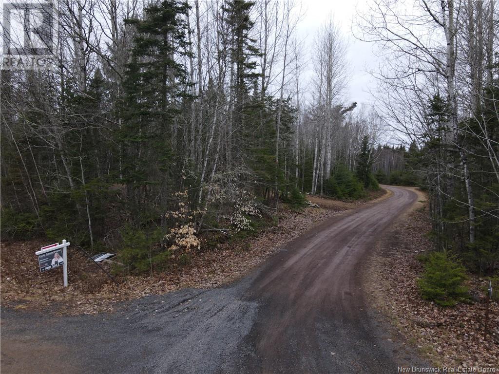Lot Cumberland Point Road, Cumberland Bay, New Brunswick  E4A 0A4 - Photo 2 - NB111844