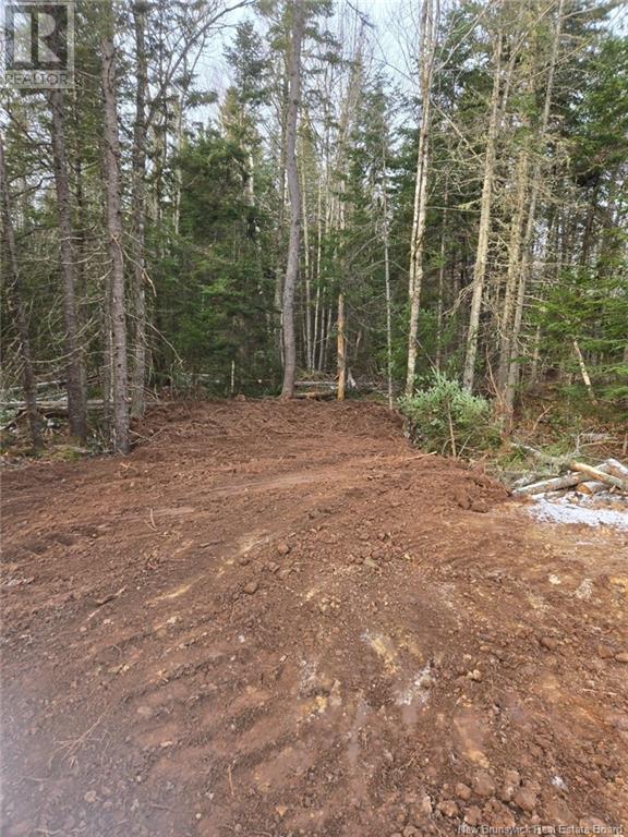 Lot Cumberland Point Road, Cumberland Bay, New Brunswick  E4A 0A4 - Photo 3 - NB111844