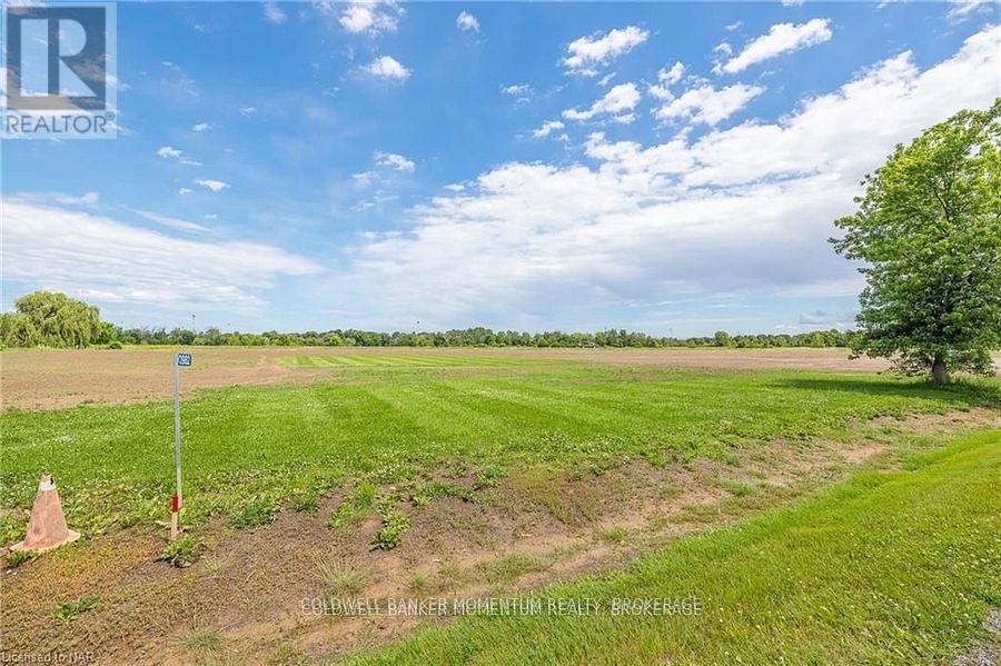 73978 Regional Road 45 Road, Wainfleet, Ontario  L0R 2J0 - Photo 4 - X11949699