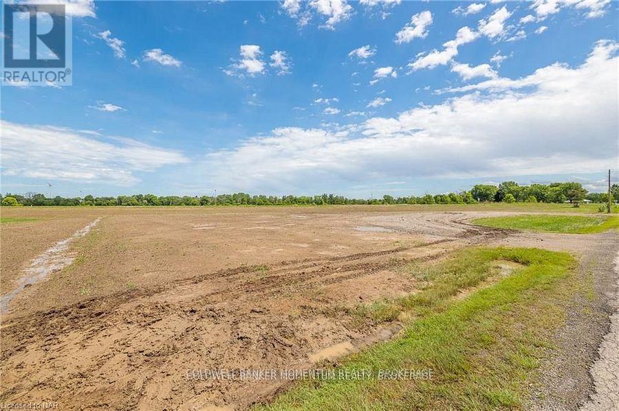 73974 Regional Road 45 Road, Wainfleet, Ontario  L0R 2J0 - Photo 4 - X11949701