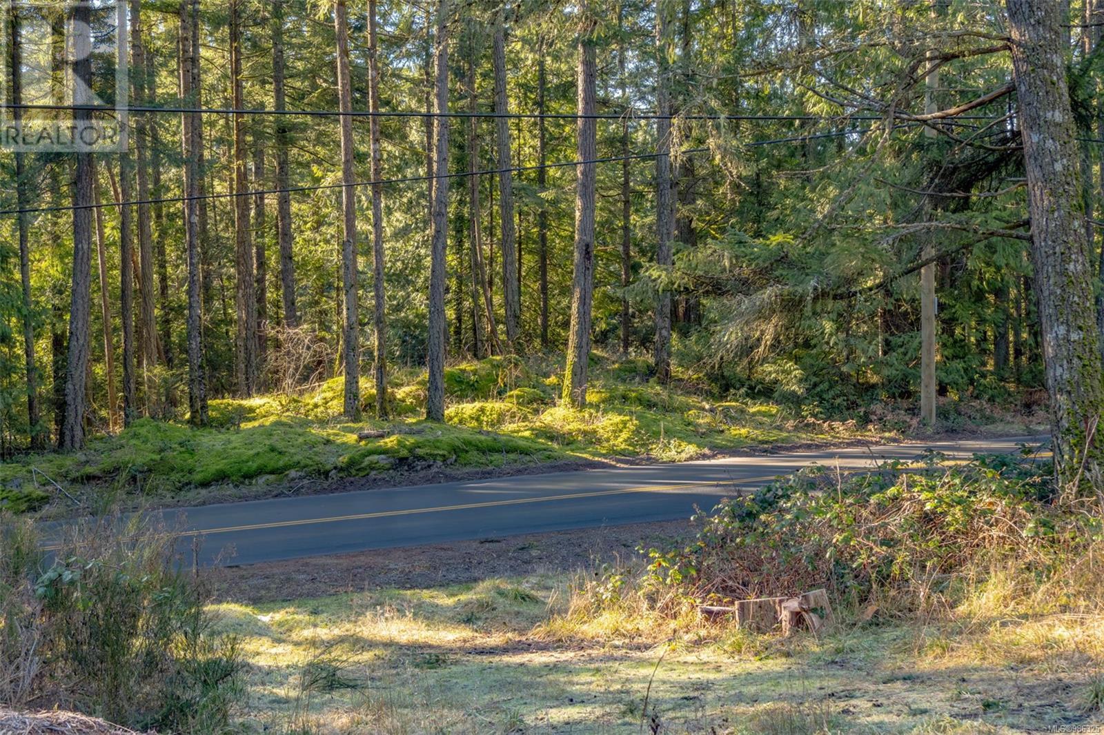 Lot B Renfrew Rd, Shawnigan Lake, British Columbia  V0R 2W1 - Photo 11 - 986325