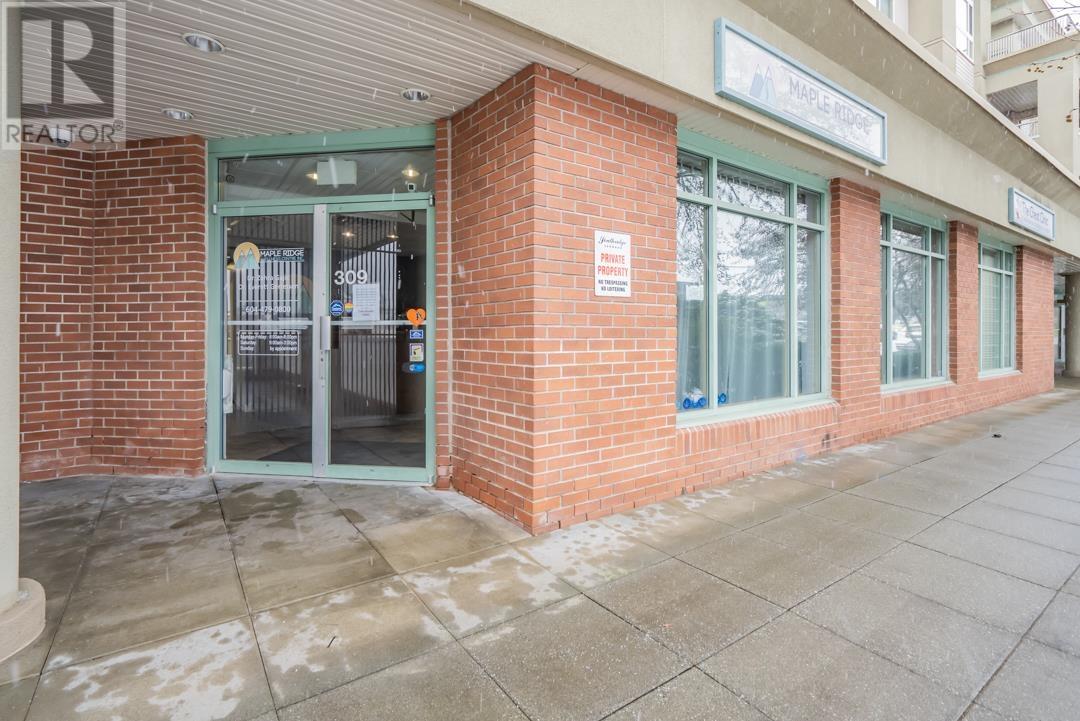 309 22230 North Avenue, Maple Ridge, British Columbia  V2X 2L5 - Photo 3 - C8066370