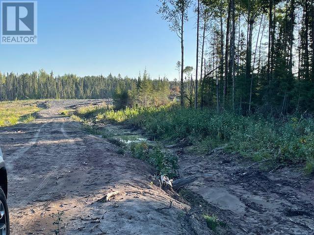 Parcel 7576 Unsurveyed Territory, South Of Borups Corner, Ontario, Dinorwic, Ontario  P0V 1P0 - Photo 21 - TB242456