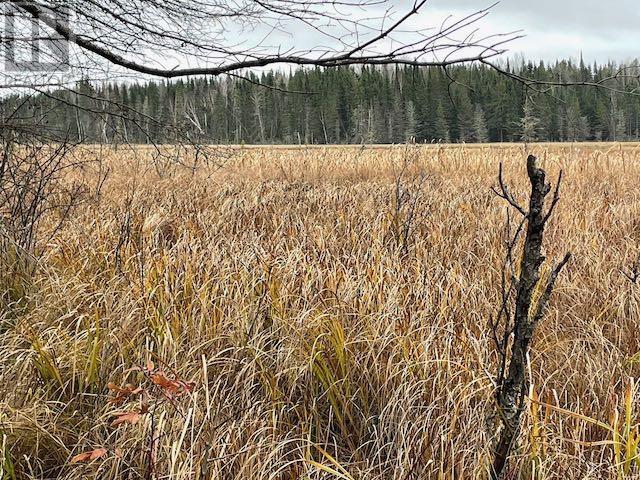 Parcel 7576 Unsurveyed Territory, South Of Borups Corner, Ontario, Dinorwic, Ontario  P0V 1P0 - Photo 8 - TB242456