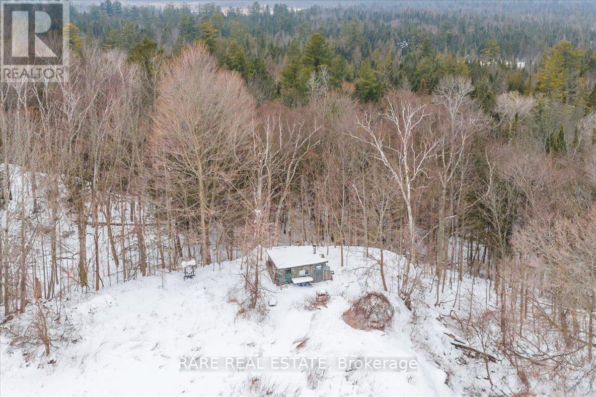 4268 Holler Road, Springwater, Ontario  L0M 1T0 - Photo 39 - S11958617