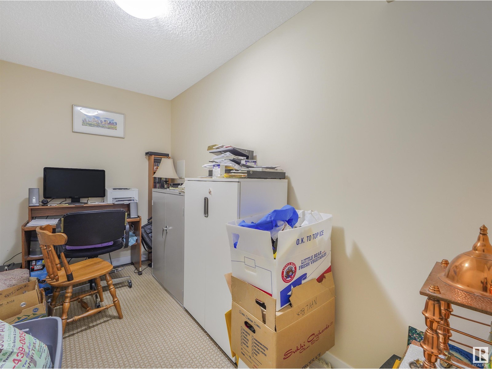 #110 7021 Terwilligar St Nw Nw, Edmonton, Alberta  T6R 0W5 - Photo 12 - E4420424