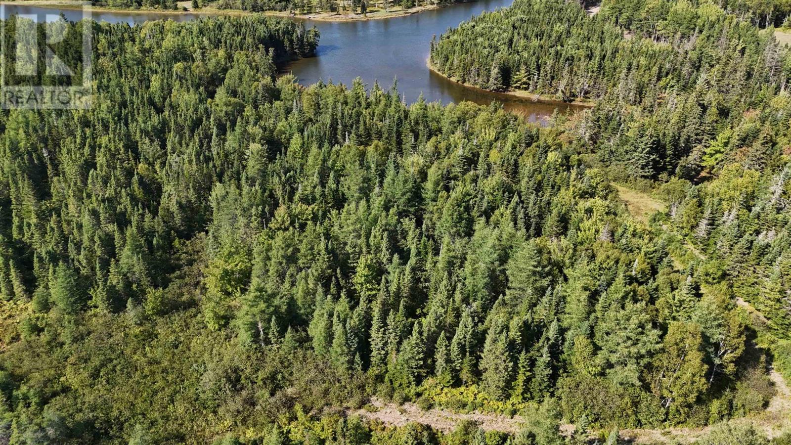 Andreas Popp Lane, Evanston, Nova Scotia  B0E 1J0 - Photo 3 - 202419637