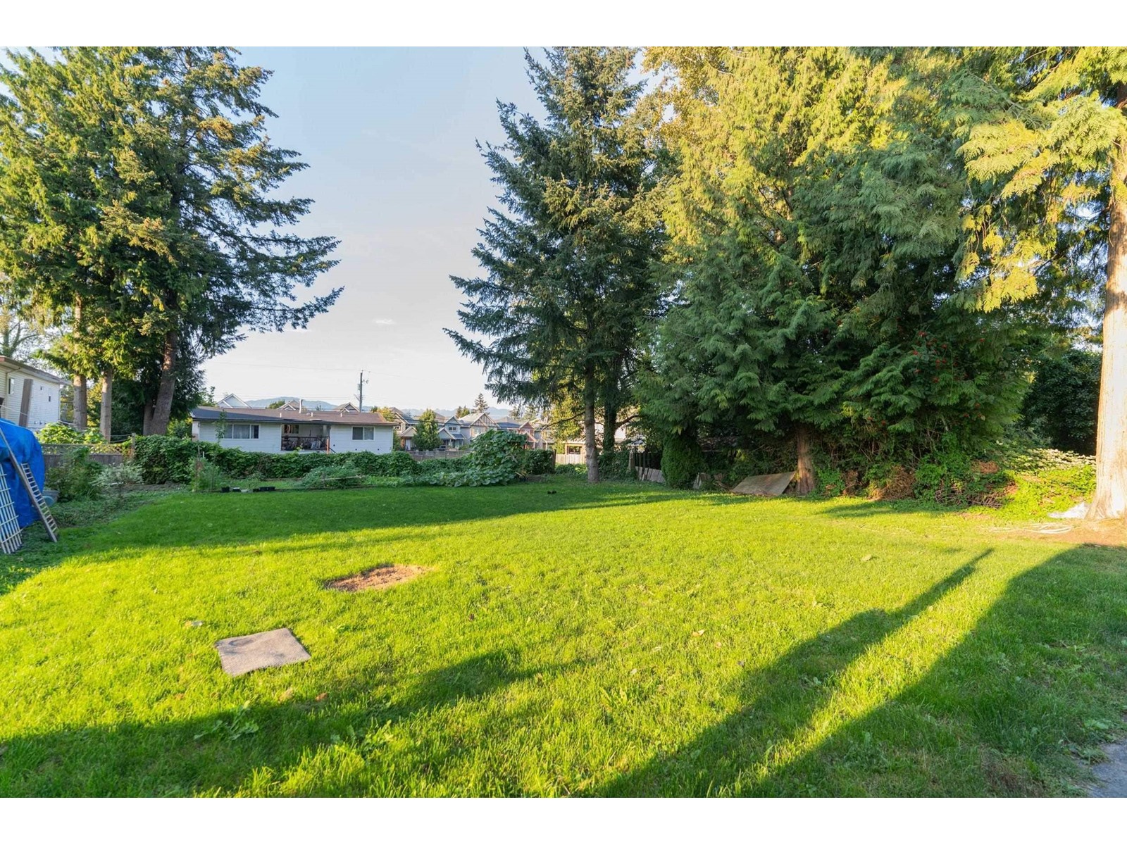 13115 107a Avenue, Surrey, British Columbia  V3T 2G9 - Photo 35 - R2964082