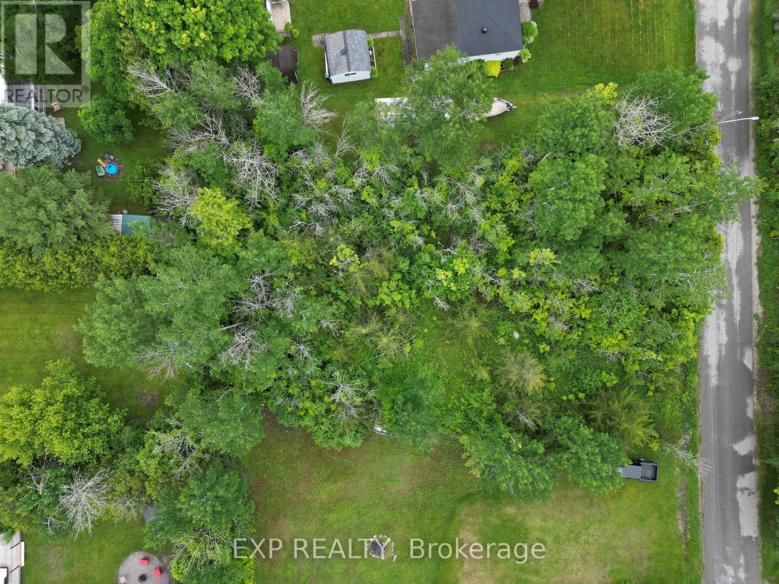 Property at 256 DIGNARD AVENUE image 3
