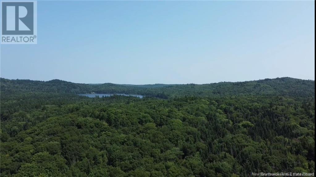 Lot Nicol Lane, Saint John, New Brunswick