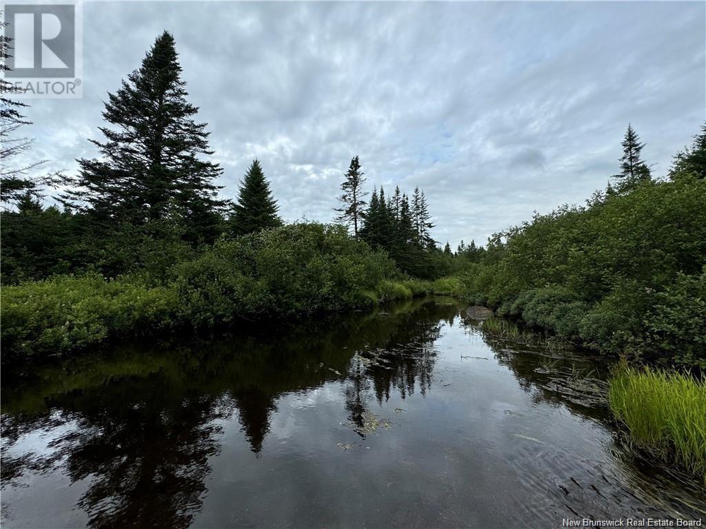 Lot Nicol Lane, Saint John, New Brunswick  E2S 1N5 - Photo 2 - NB112220