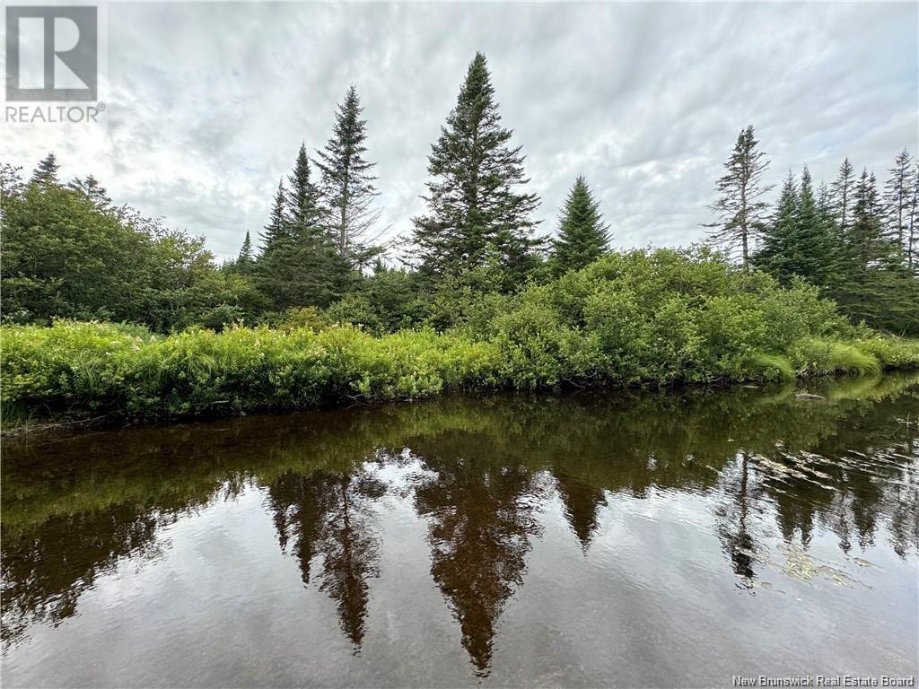 Lot Nicol Lane, Saint John, New Brunswick  E2S 1N5 - Photo 3 - NB112220