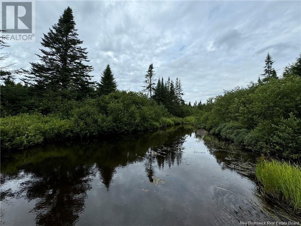 Lot Nicol Lane, Saint John, New Brunswick  E2S 1N5 - Photo 8 - NB112220