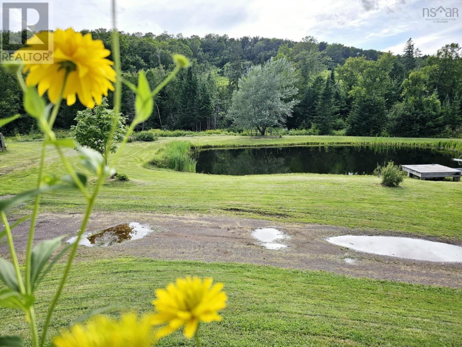 1522 Matheson Brook, Tatamagouche, Nova Scotia  B0K 1V0 - Photo 13 - 202502386