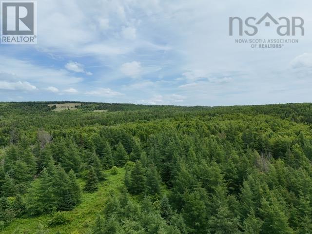 Parcel B MacLeod Settlement Road, upper southwest mabou, Nova Scotia