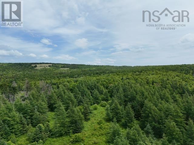 Parcel B Macleod Settlement Road, Upper Southwest Mabou, Nova Scotia  B0E 2W0 - Photo 3 - 202502397