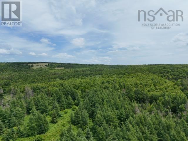 Parcel B Macleod Settlement Road, Upper Southwest Mabou, Nova Scotia  B0E 2W0 - Photo 5 - 202502397