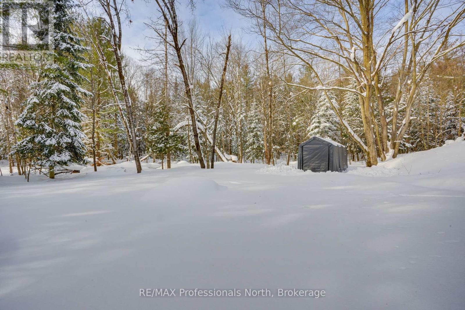 17 Knotty Pine Trail, Huntsville, Ontario  P1H 1S9 - Photo 8 - X11954859