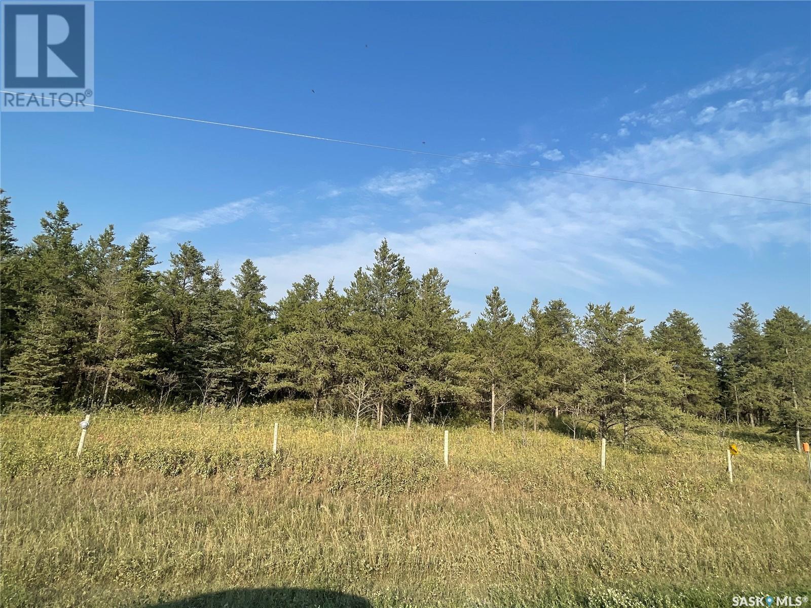 5.43 Acreage, Hudson Bay Rm No. 394, Saskatchewan  S0E 0Y0 - Photo 1 - SK994204