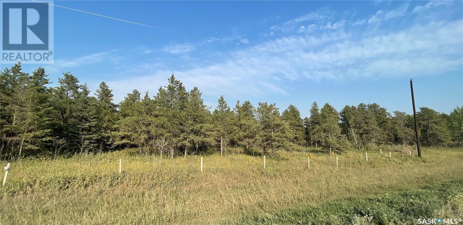 5.43 Acreage, Hudson Bay Rm No. 394, Saskatchewan  S0E 0Y0 - Photo 3 - SK994204
