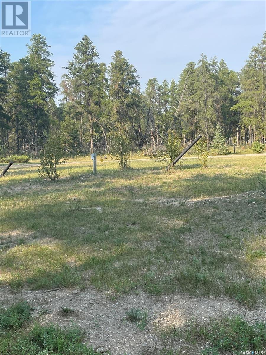 5.43 Acreage, Hudson Bay Rm No. 394, Saskatchewan  S0E 0Y0 - Photo 4 - SK994204