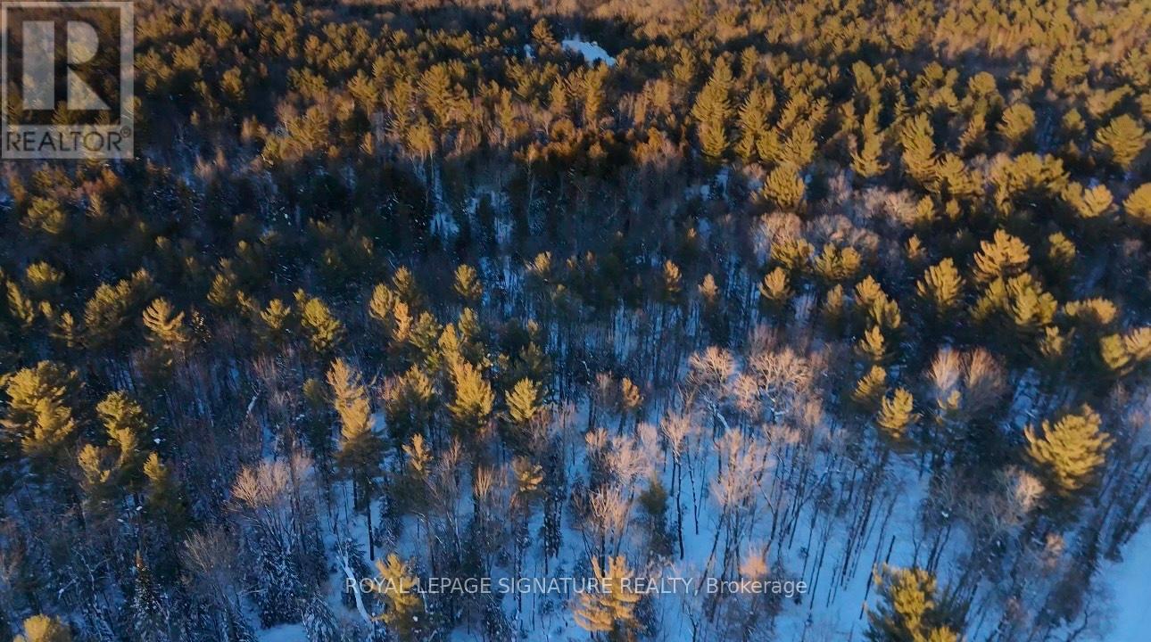 Lot 15 Con 5 Macaulay, Bracebridge, Ontario  P1L 1E9 - Photo 2 - X11959646