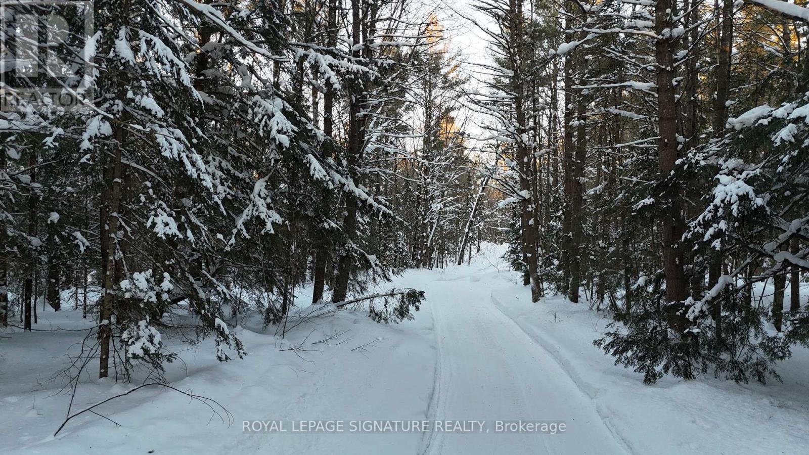 Lot 15 Con 5 Macaulay, Bracebridge (Macaulay), Ontario  P1L 1E9 - Photo 3 - X11959646