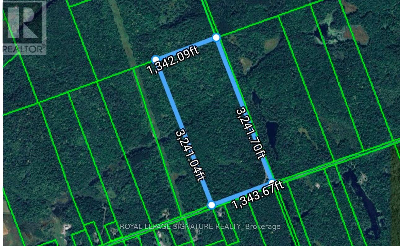 Lot 15 Con 5 Macaulay, Bracebridge (Macaulay), Ontario  P1L 1E9 - Photo 5 - X11959646