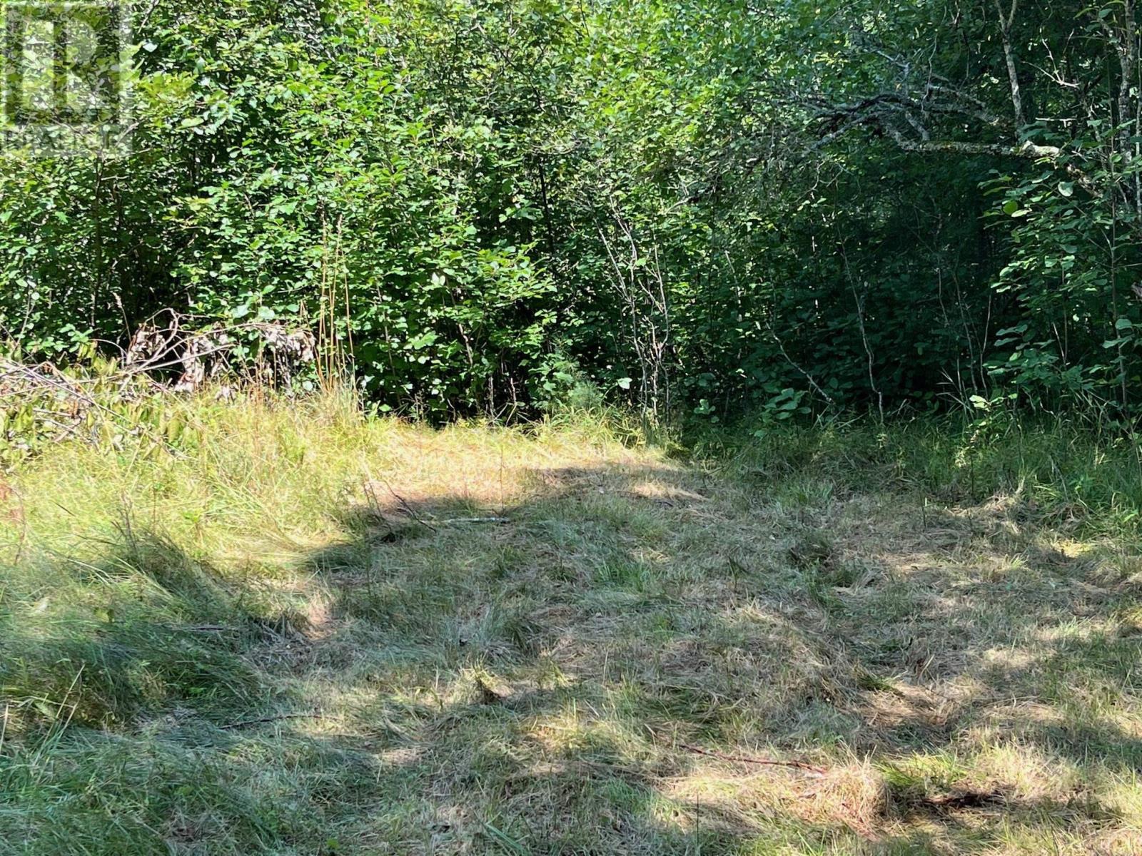 Lot 24-1 Mckeen Road, Watford, Nova Scotia  B0R 1E0 - Photo 15 - 202502421