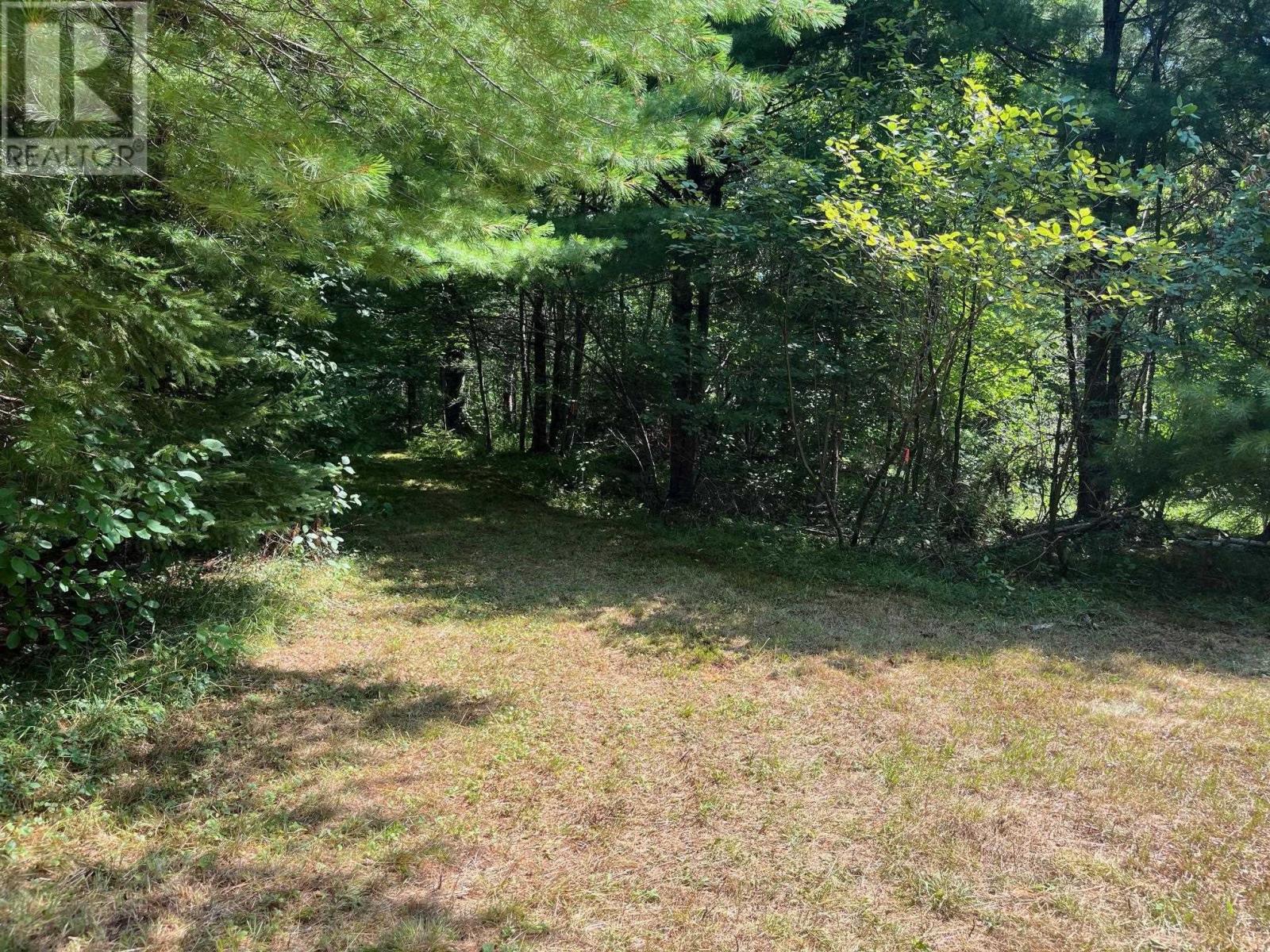 Lot 24-1 Mckeen Road, Watford, Nova Scotia  B0R 1E0 - Photo 20 - 202502421