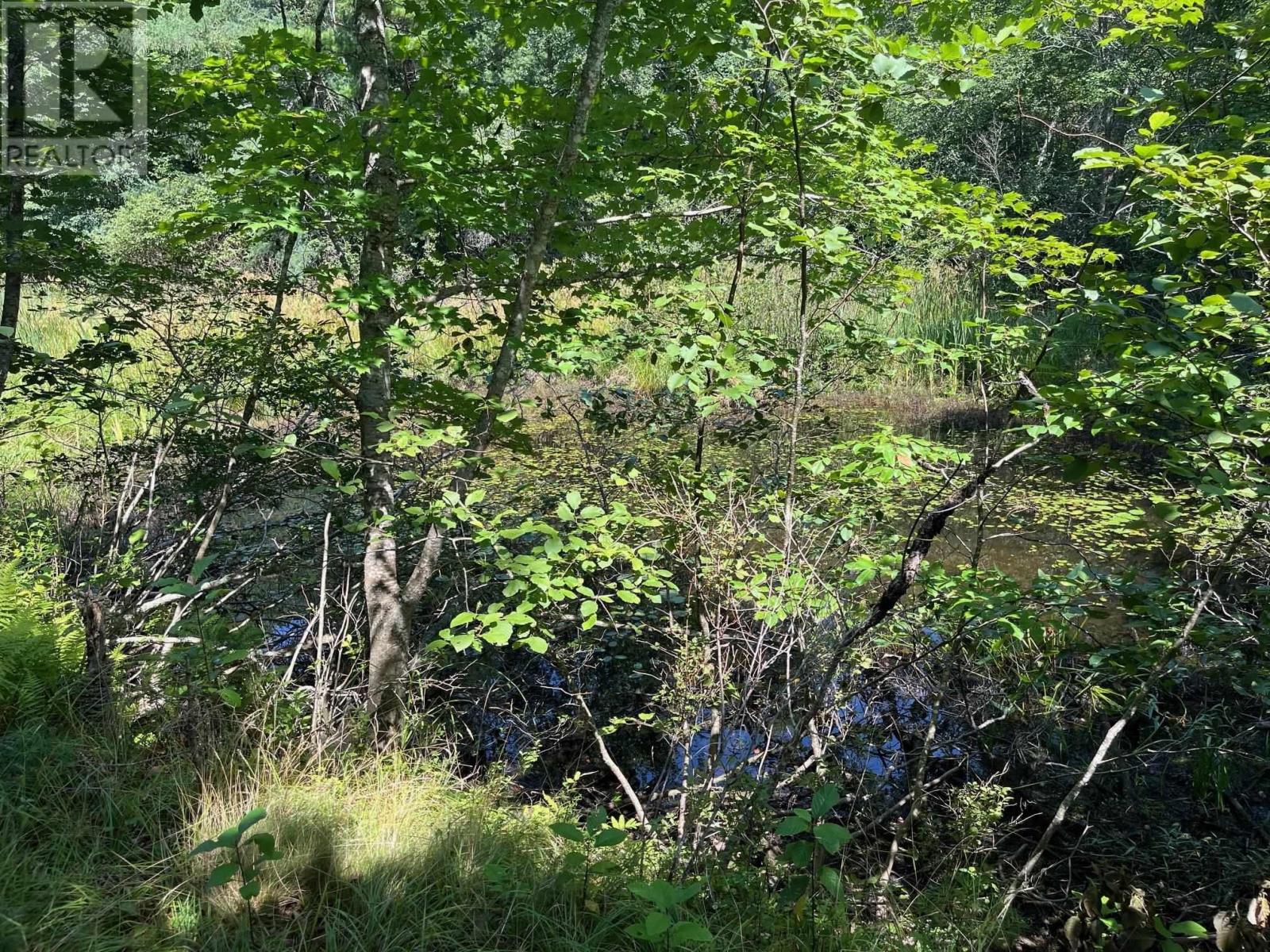 Lot 24-1 Mckeen Road, Watford, Nova Scotia  B0R 1E0 - Photo 23 - 202502421