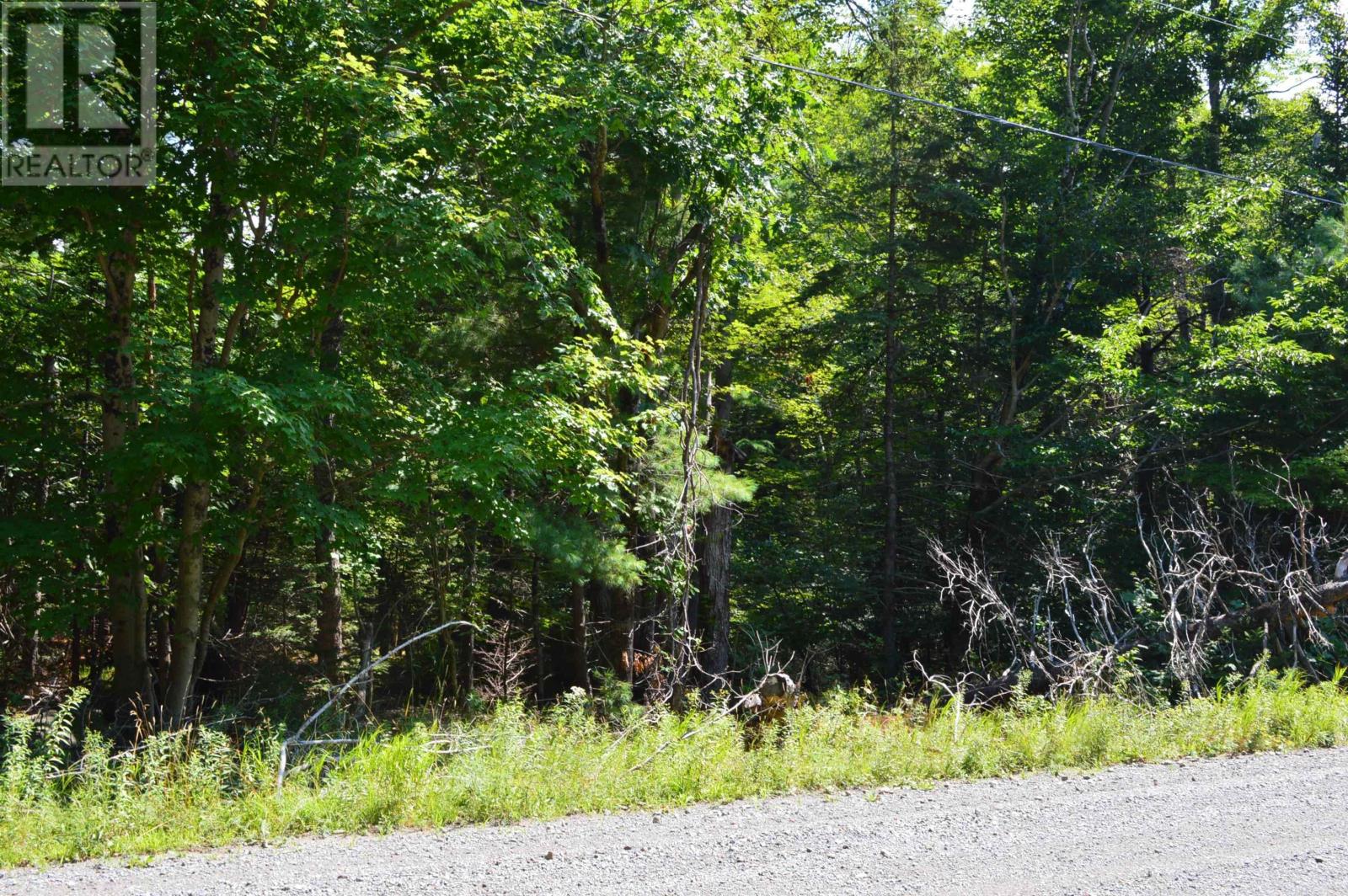 Lot 24-1 Mckeen Road, Watford, Nova Scotia  B0R 1E0 - Photo 31 - 202502421