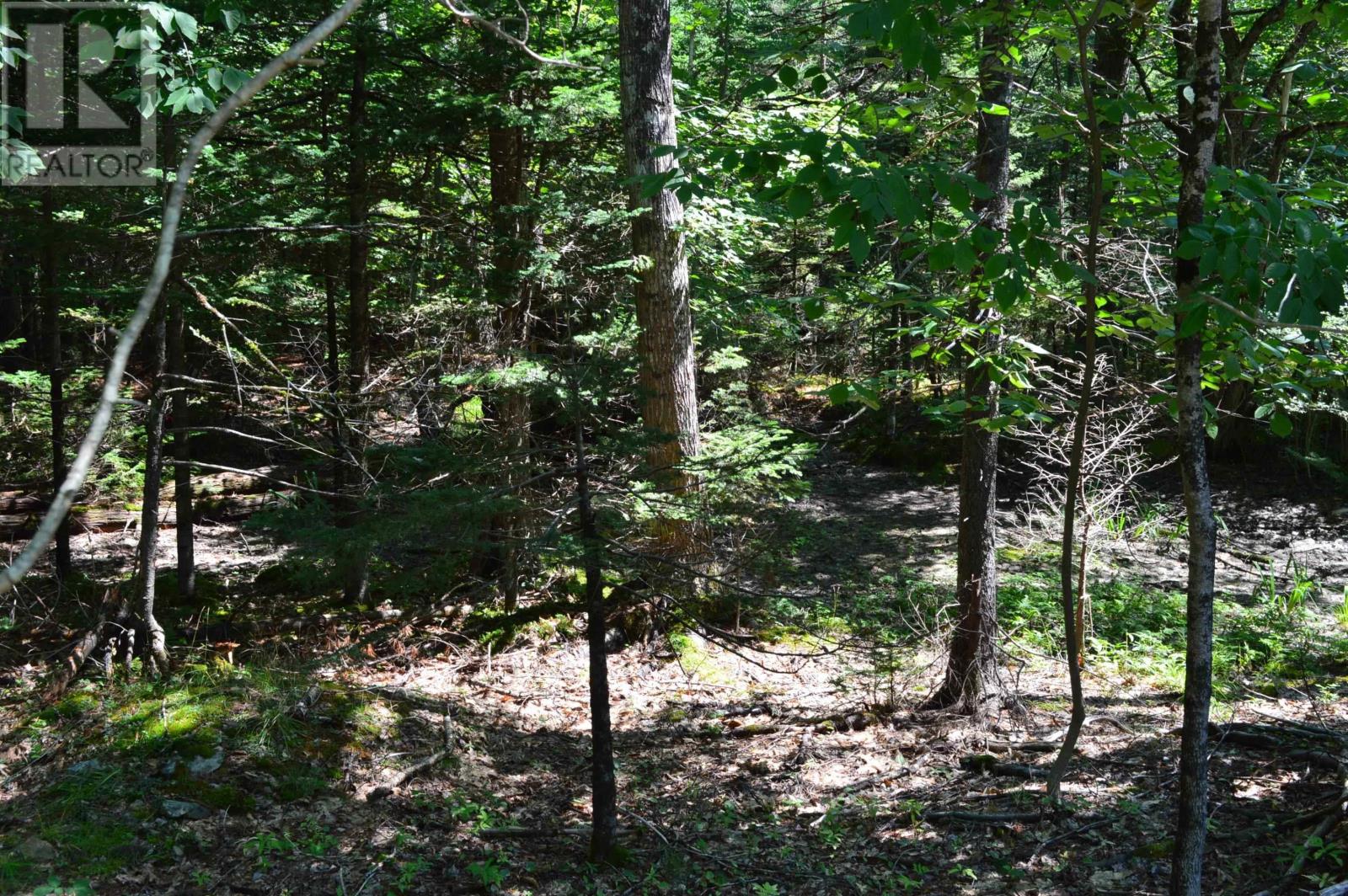 Lot 24-1 Mckeen Road, Watford, Nova Scotia  B0R 1E0 - Photo 33 - 202502421