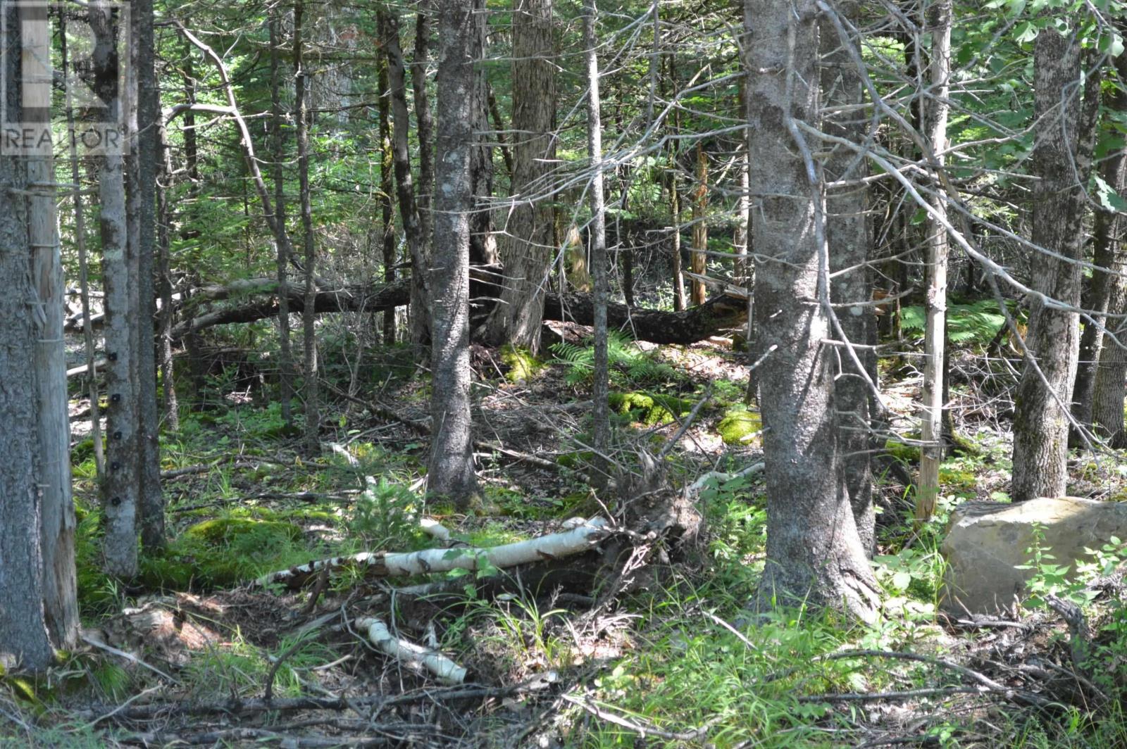 Lot 24-1 Mckeen Road, Watford, Nova Scotia  B0R 1E0 - Photo 35 - 202502421