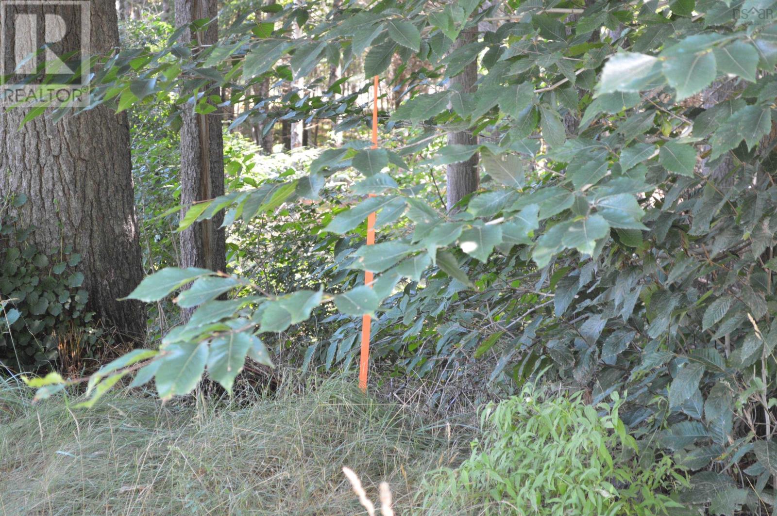 Lot 24-1 Mckeen Road, Watford, Nova Scotia  B0R 1E0 - Photo 36 - 202502421