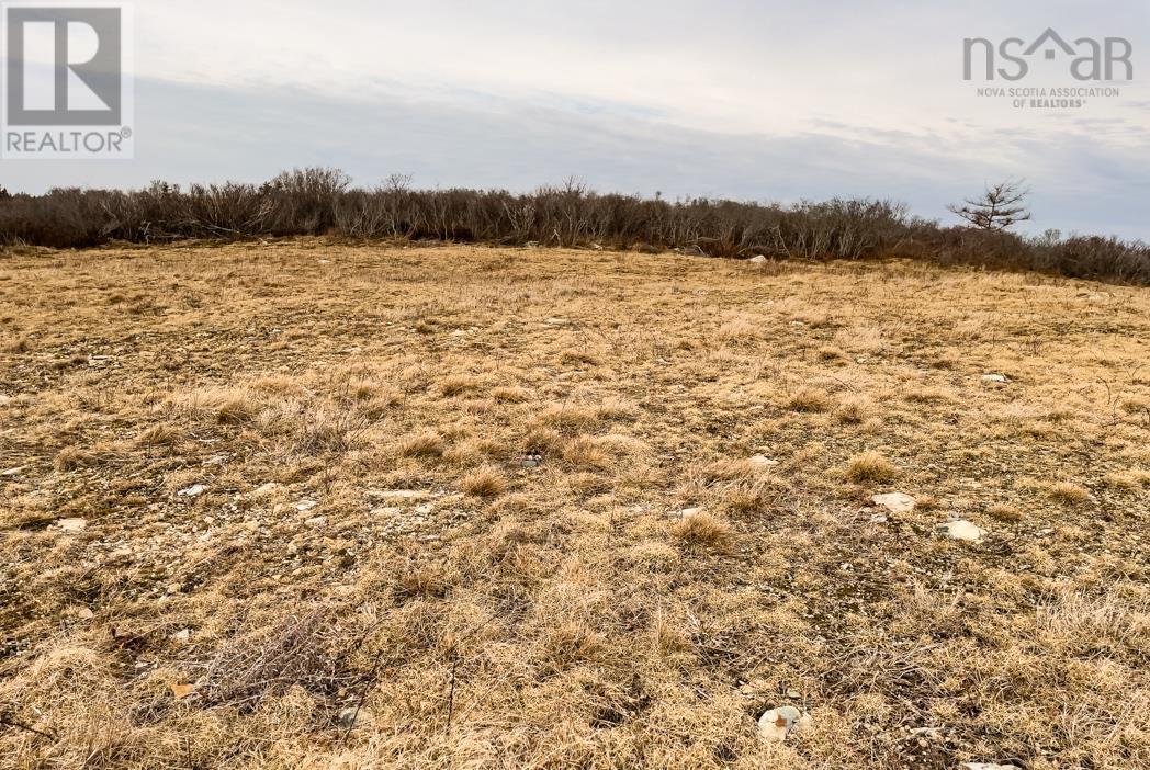 0 Chebogue Road, Arcadia, Nova Scotia  B0W 1B0 - Photo 14 - 202201446