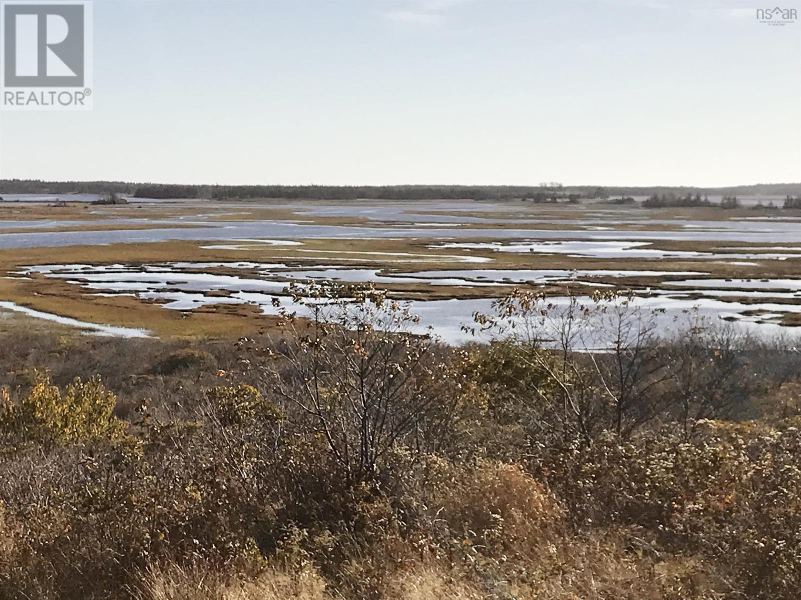 0 Chebogue Road, Arcadia, Nova Scotia  B0W 1B0 - Photo 6 - 202201446