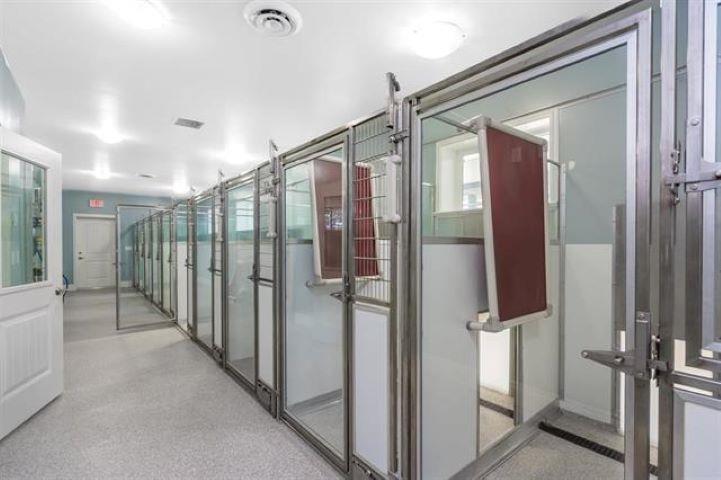 Property at 4102 LEFEUVRE ROAD image 4