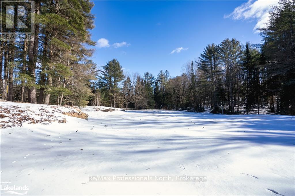 2483 Old Muskoka Road, Huntsville, Ontario P0B 1M0 - Photo 10 - X11950305