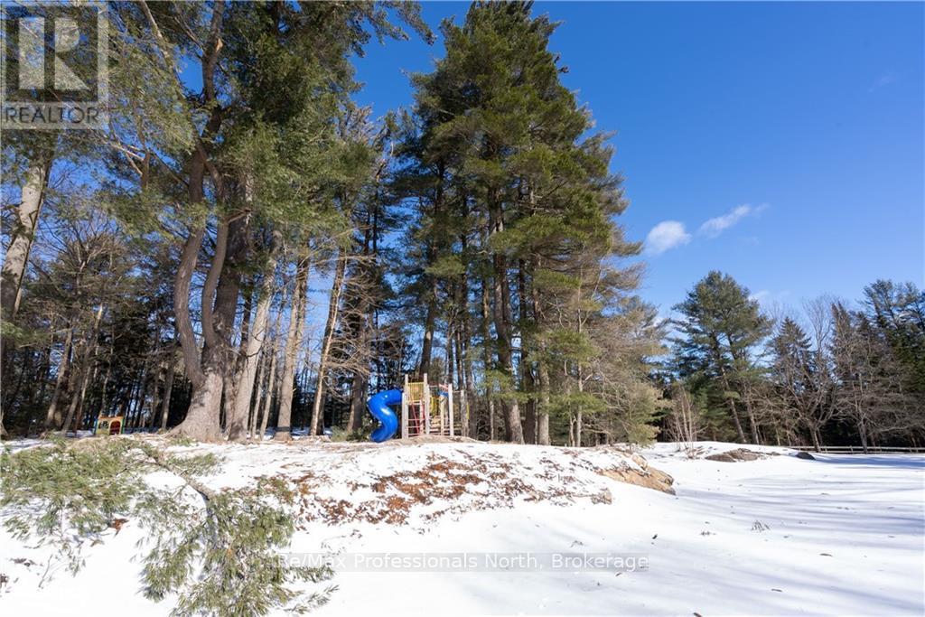 2483 Old Muskoka Road, Huntsville, Ontario  P0B 1M0 - Photo 15 - X11950305