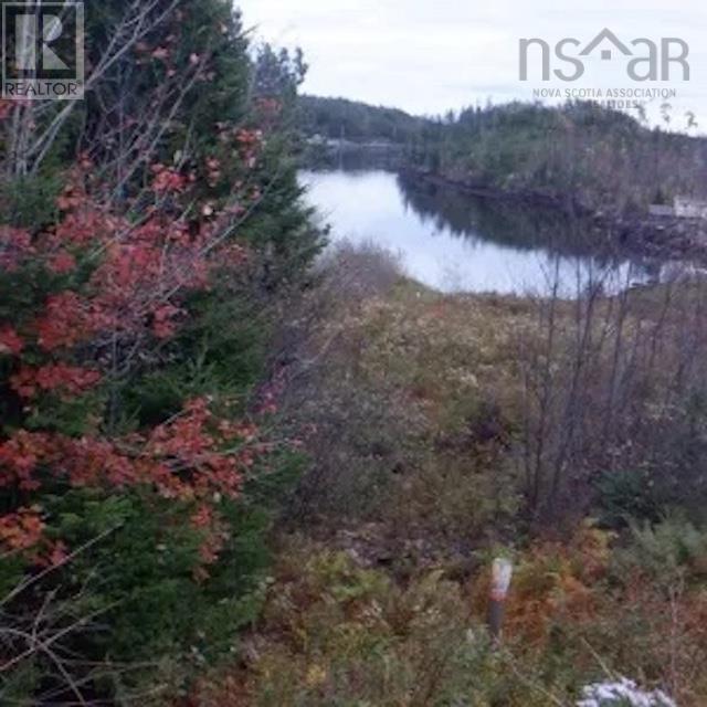 #7 Highway, Liscomb, Nova Scotia  B0J 2A0 - Photo 11 - 202502430