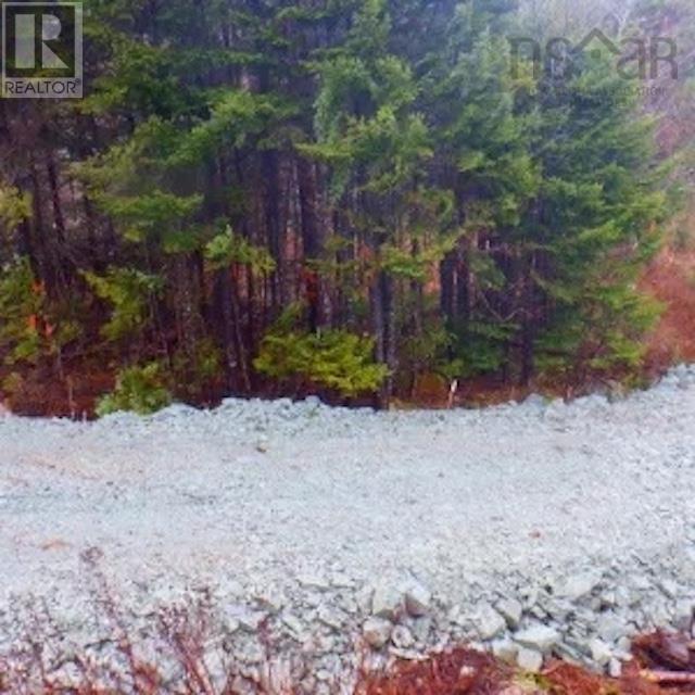 #7 Highway, Liscomb, Nova Scotia  B0J 2A0 - Photo 14 - 202502430