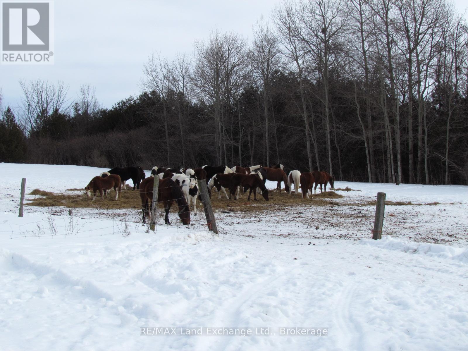 41073 Londesborough Rd 15 Road, Ashfield-Colborne-Wawanosh, Ontario  N7A 3Y1 - Photo 29 - X11960021