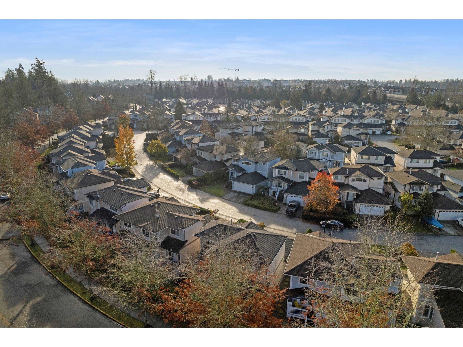 Property at 15 8675 209 STREET image 4