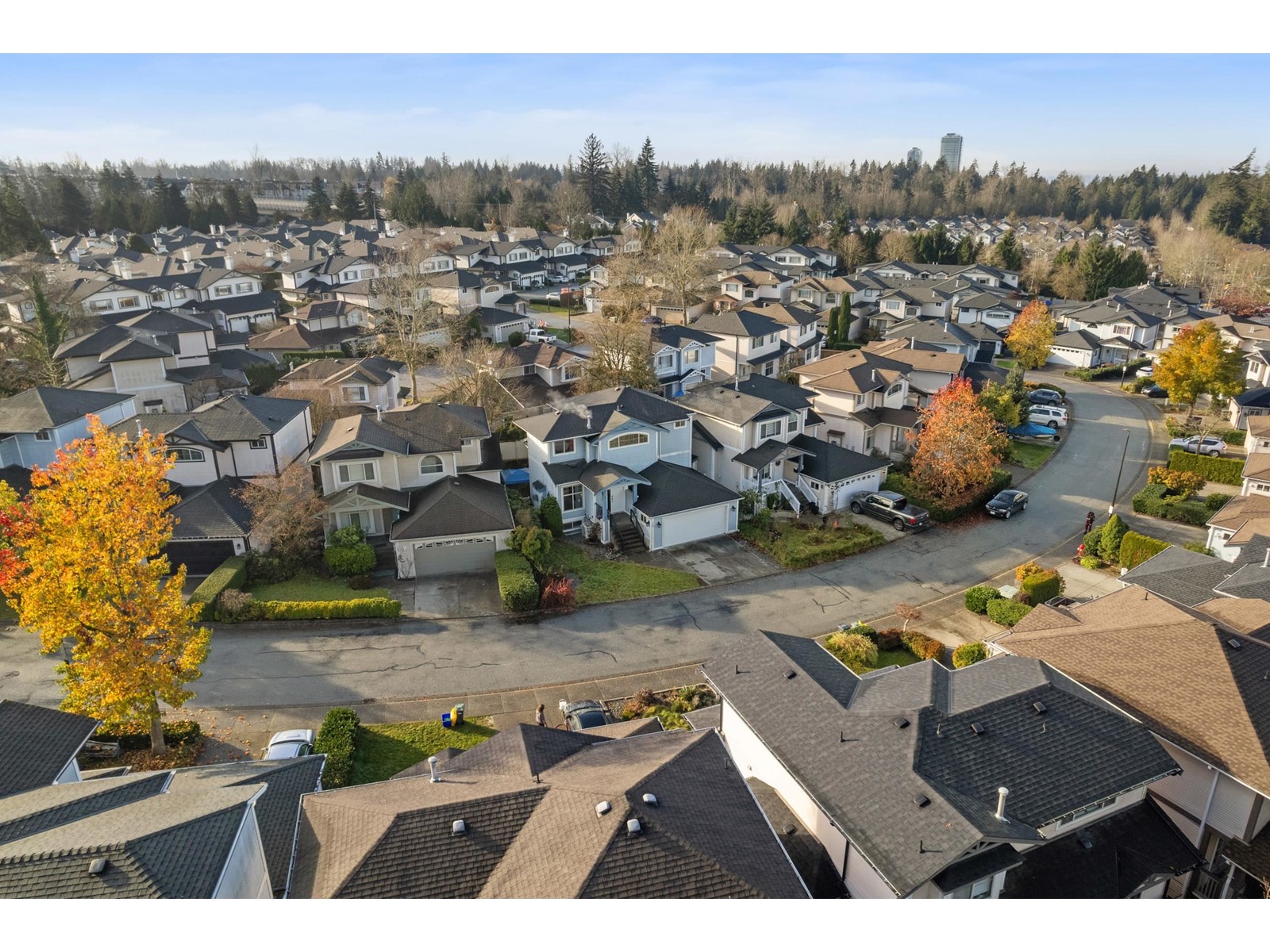 Property at 15 8675 209 STREET image 3