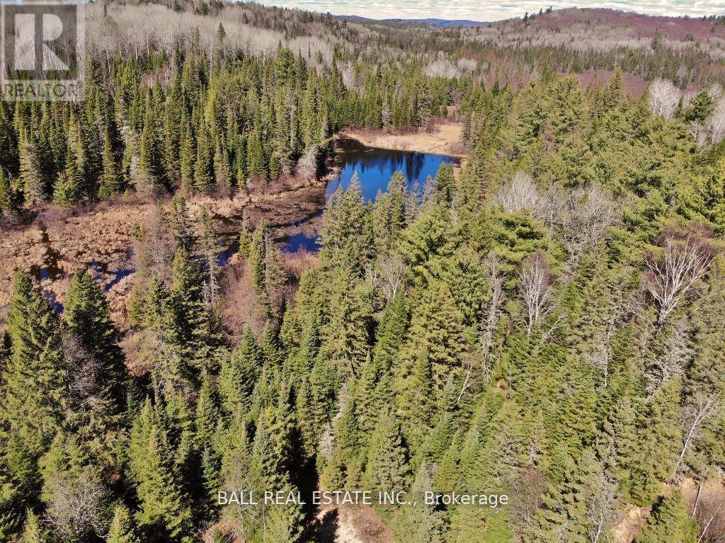 N/a Hillsview Road, Hastings Highlands (Monteagle Ward), Ontario  K0L 2S0 - Photo 12 - X11960303
